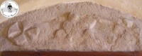 Il più antico stemma dei Montecuccoli. XII- XIII sec.