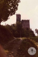 1982