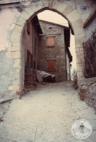 1982