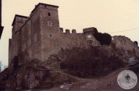 1982